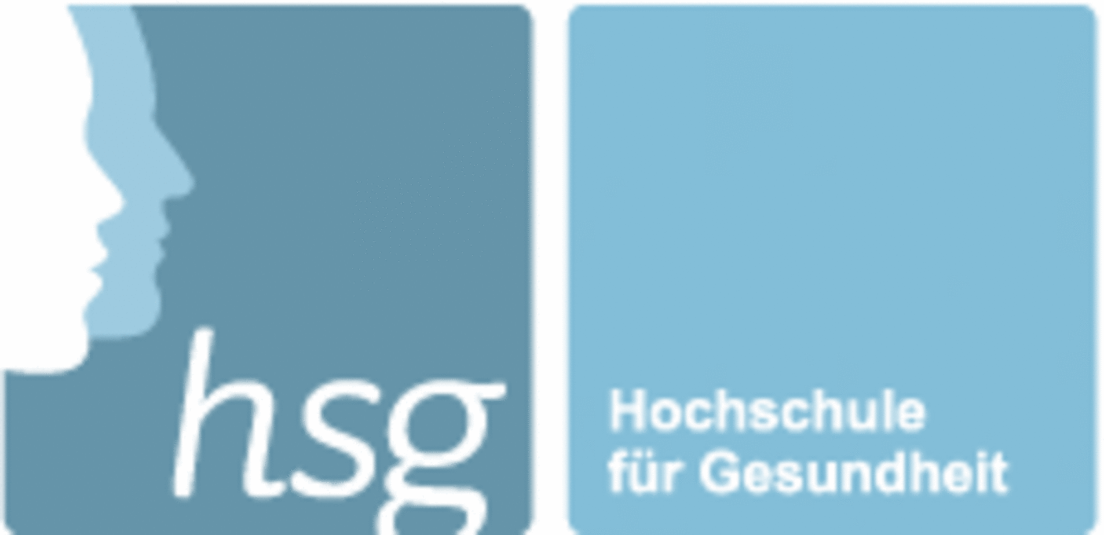logo hsg